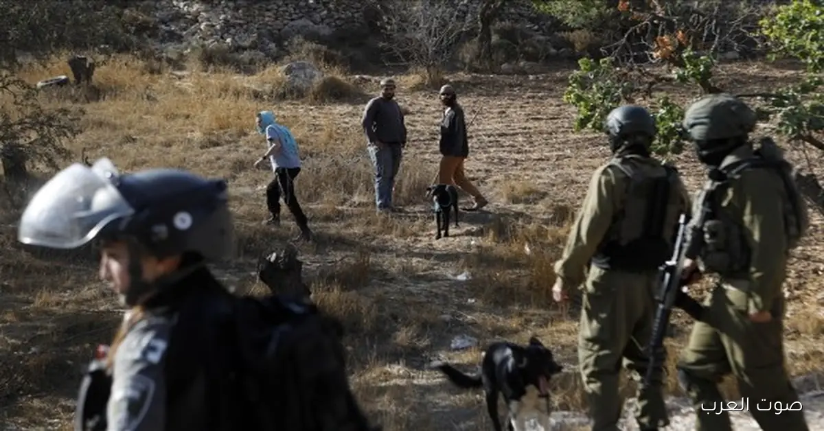 إصابة 7 فلسطينيين بسبب هجوم مستوطنين شمال الخليل