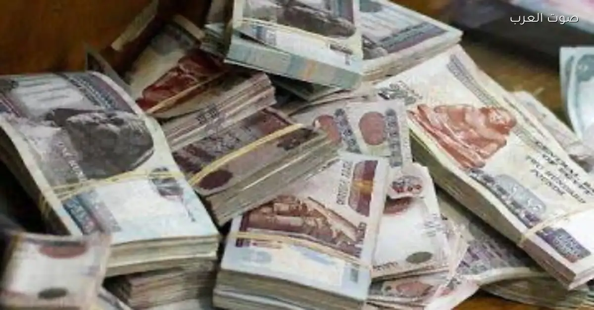 ارتفاع عدد شركات التخصيم إلى نحو 856 شركة بنمو 28% بنهاية سبتمبر الماضي