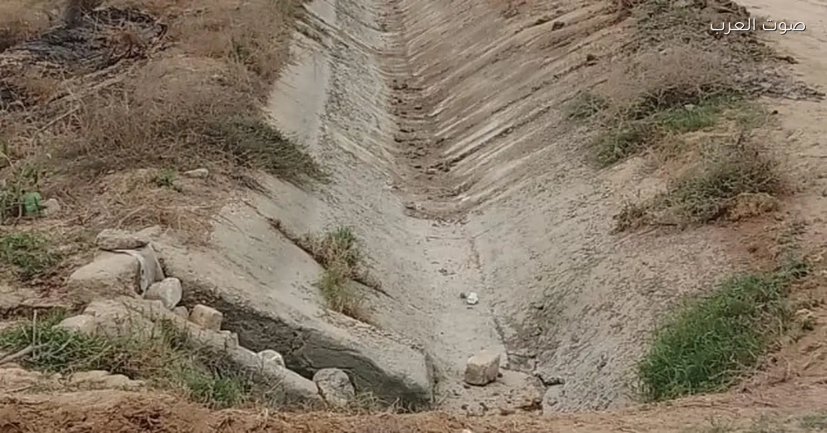 استصلاح الأراضي ينهي 80 حالة تعدي على الأراضي الزراعية في أسبوع