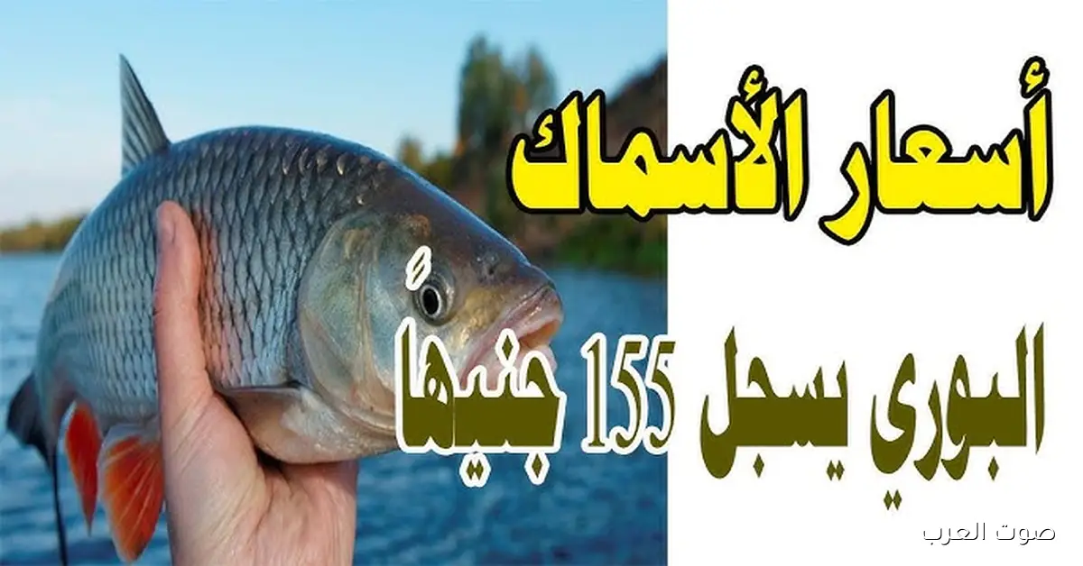 البلطي بكام؟ .. اسعار السمك اليوم الثلاثاء 2 ديسمبر 2025 في سوق العبور للجملة