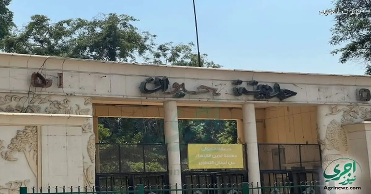 افتتاح حديقة الحيوان في الجيزة قريب.. استعدوا لمفاجآت كبيرة للزوار