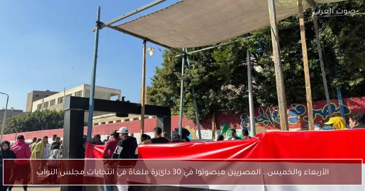 الأربعاء والخميس.. المصريين هيصوتوا في 30 دائرة ملغاة في انتخابات مجلس النواب