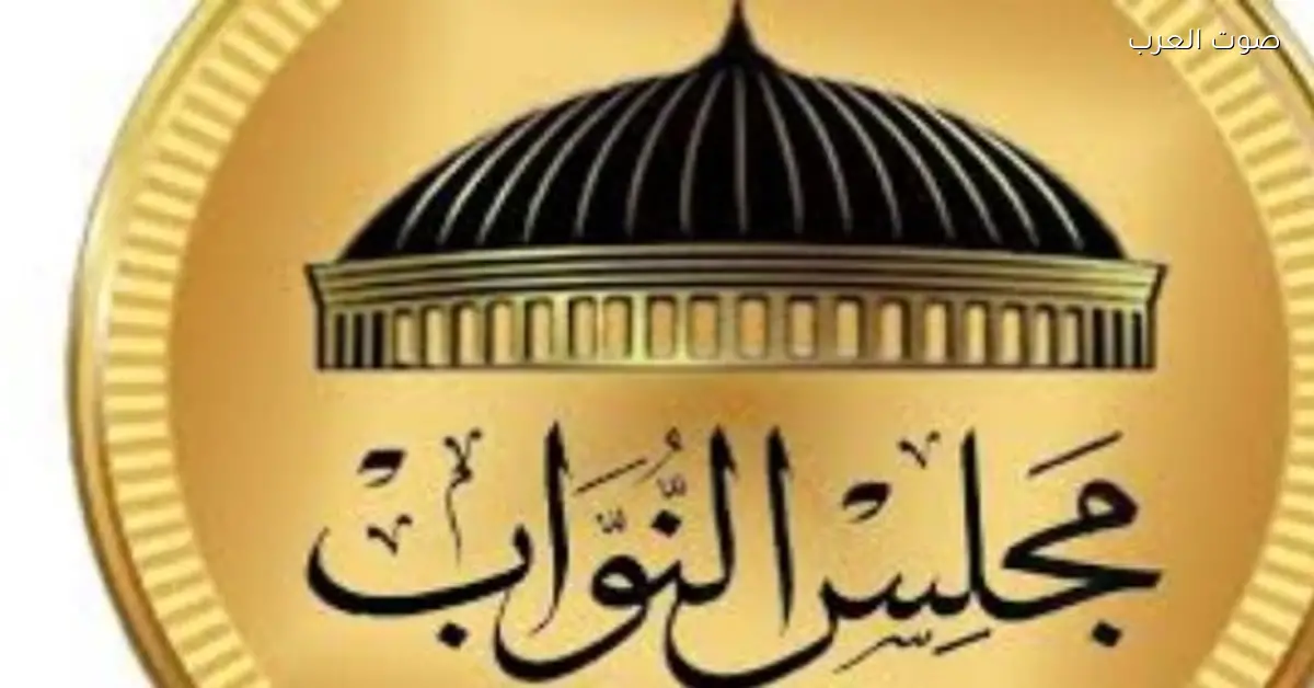 «الاثنين والثلاثاء».. المصريين في الخارج يبدأوا التصويت في إعادة 55 دائرة في المرحلة الثانية من انتخابات مجلس النواب