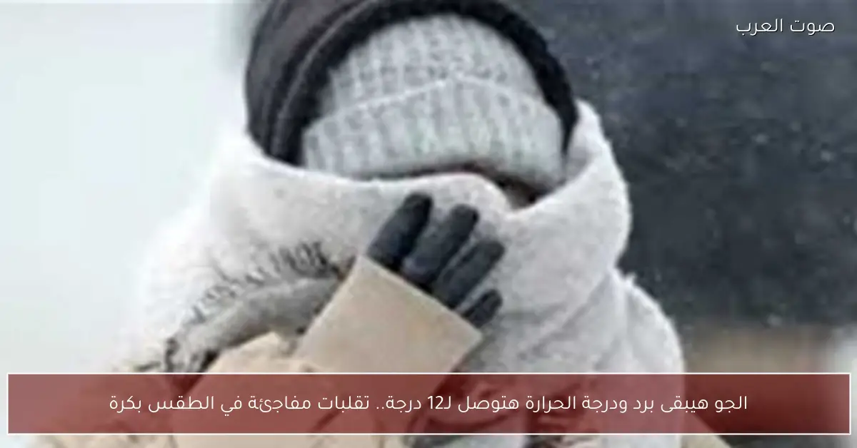 الجو هيبقى برد ودرجة الحرارة هتوصل لـ12 درجة.. تقلبات مفاجئة في الطقس بكرة