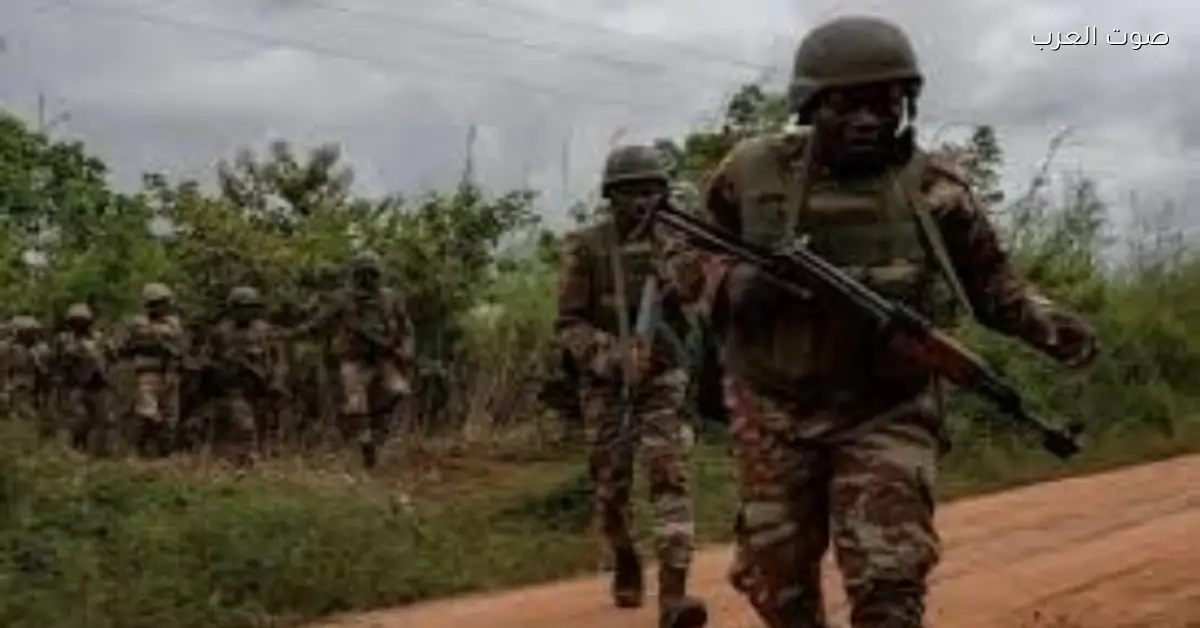 الجيش النيجيري يضرب أهداف جوية في بنين