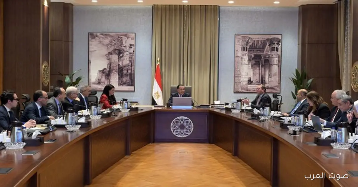 الحكومة تقرر تحويل 9 هيئات من اقتصادية لعامة