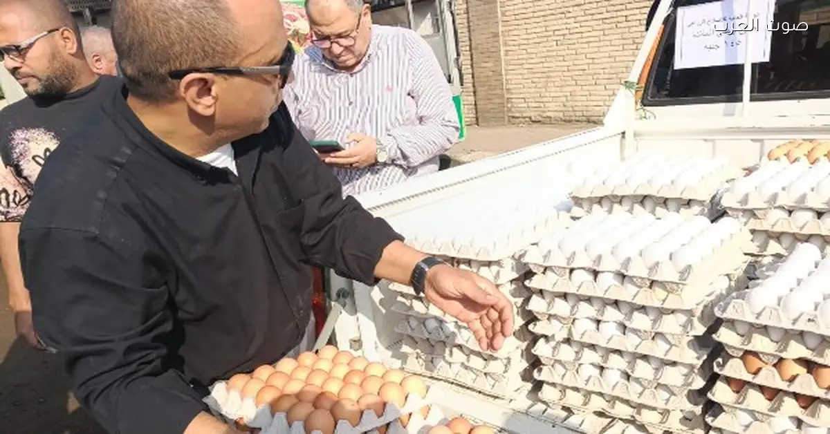 الزراعة بتطرح البيض بأسعار أقل 20% في منافذها