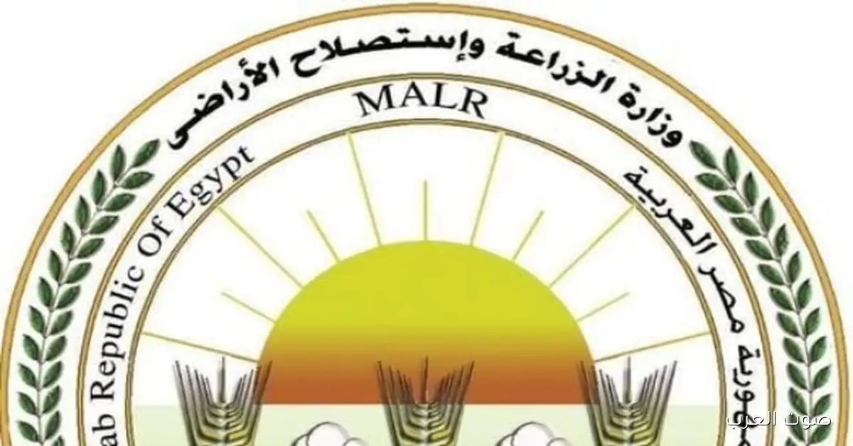 الزراعة توضح: شائعات عزوف المزارعين عن القمح مش صحيحة وسعر الإردب 2350 جنيه