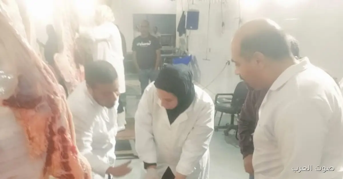 الزراعة: ضبط أكتر من 682 طن لحوم مش صالحة في نوفمبر