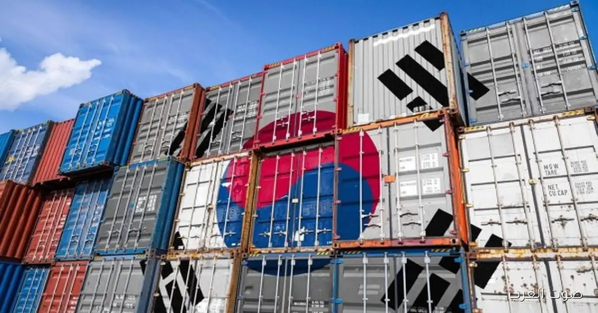 الشركات والمصانع المصرية بتسهم بـ 63% في صادرات الملابس