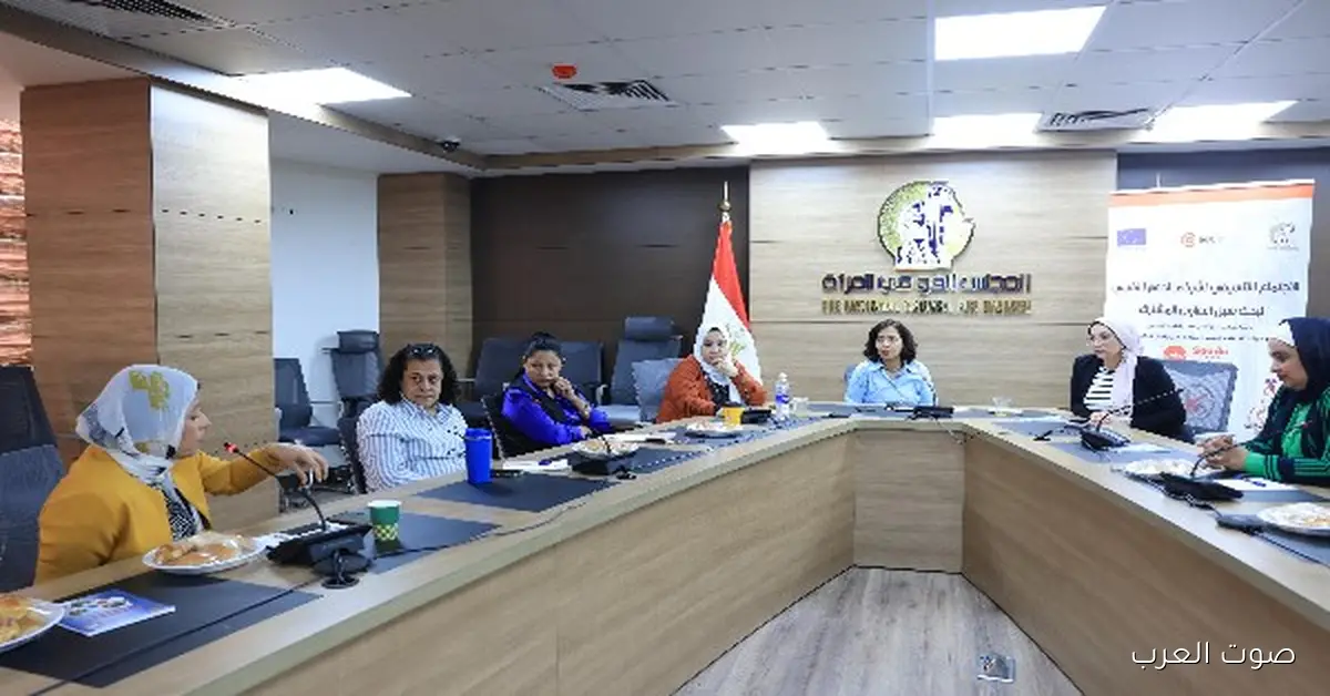 القومي للمرأة يعقد اجتماع مع شركاء الدعم النفسي لبحث سبل التعاون مع بعض