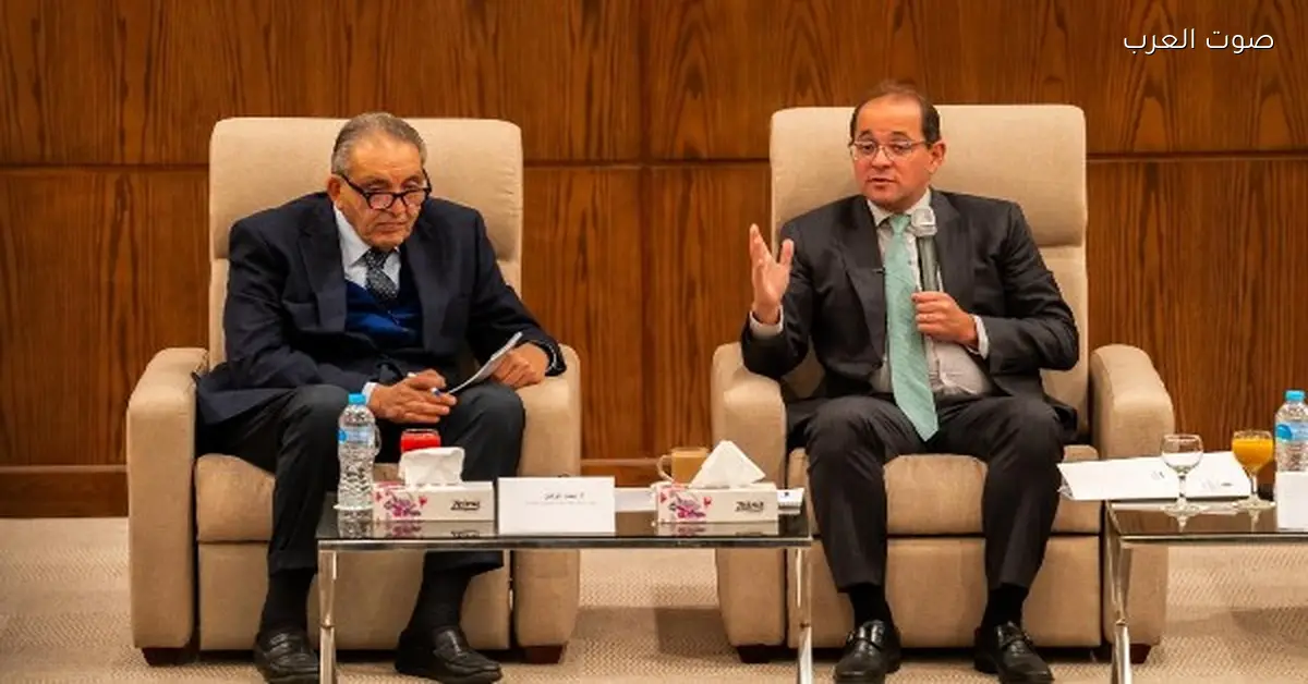 المالية تخطط لاستبدال ضرائب الأرباح الرأسمالية بضرائب الدمغة والوزير يوضح الأسباب