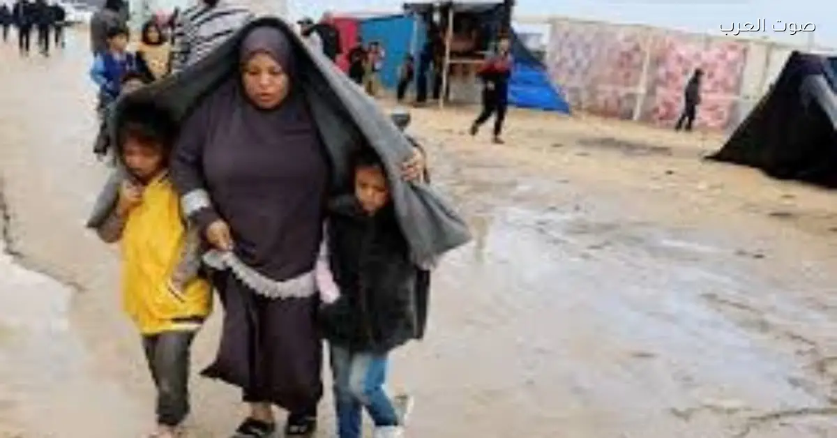 المجلس النرويجي: لازم نجهز أماكن للإيواء عشان ننقذ حياة 1.29 مليون غزاوي