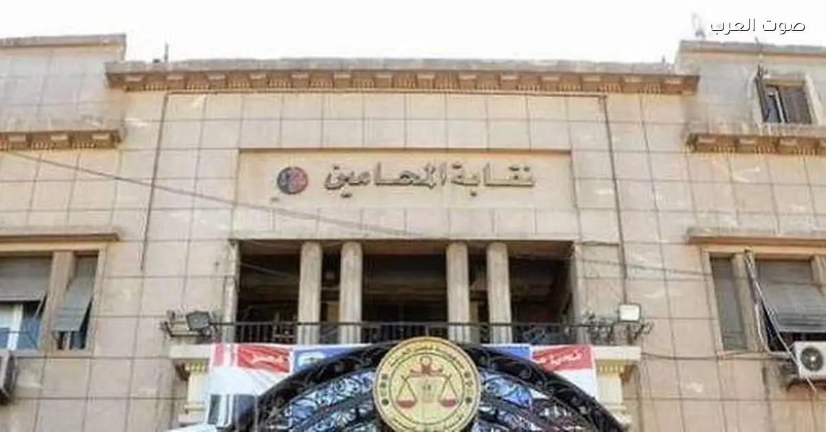 المحامين تطلق الكشوف النهائية للمرشحين في المرحلة التانية من انتخابات النقابات الفرعية