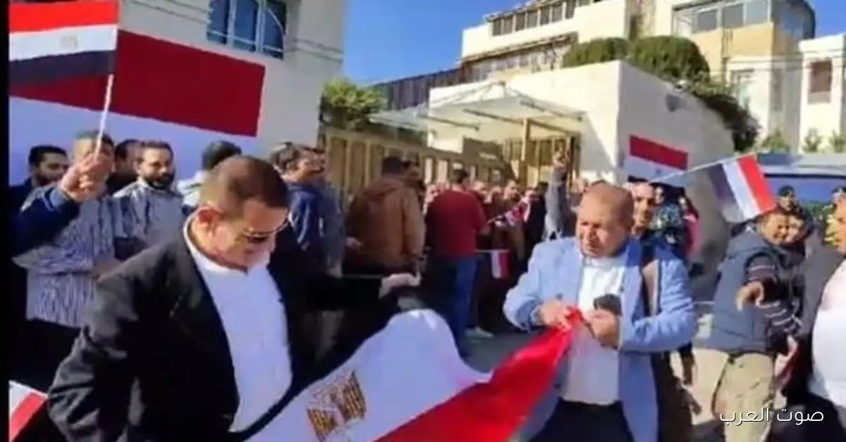 المصريين في الخارج يصوتوا في 19 دائرة ملغية خلال المرحلة الأولى من انتخابات مجلس النواب