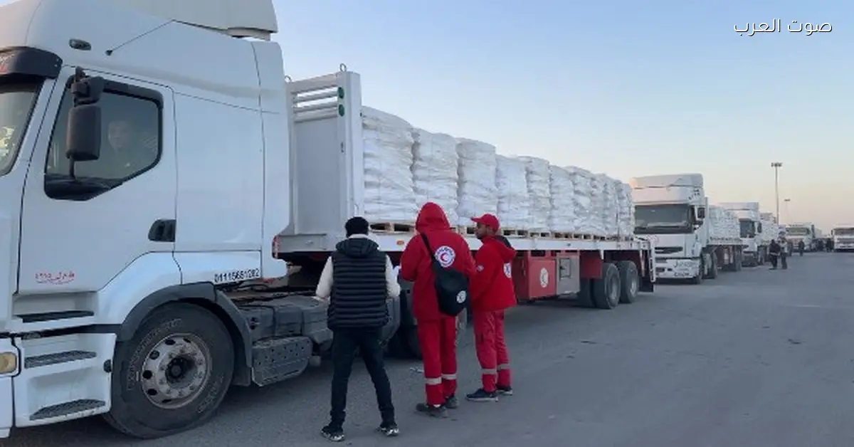 الهلال الأحمر بيوزع 256 ألف سلة غذائية و55 ألف قطعة ملابس شتوية على غزة