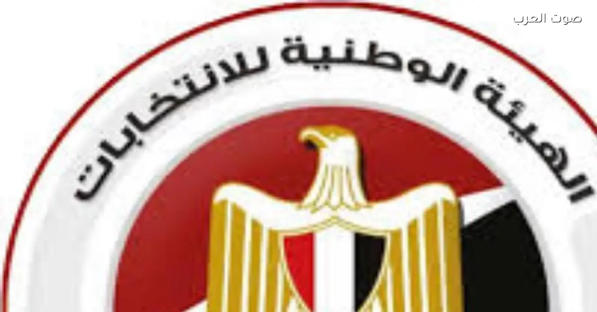 الهيئة الوطنية بتناشد الناخبين يشاركوا تاني في انتخابات مجلس النواب ويختاروا اللي يمثلهم