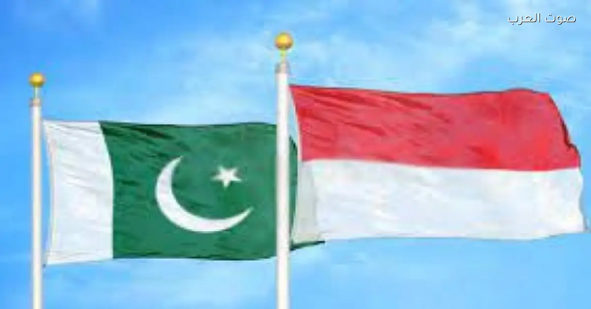 باكستان وإندونيسيا متعهدين يقووا العلاقات بينهم في مجالات مختلفة