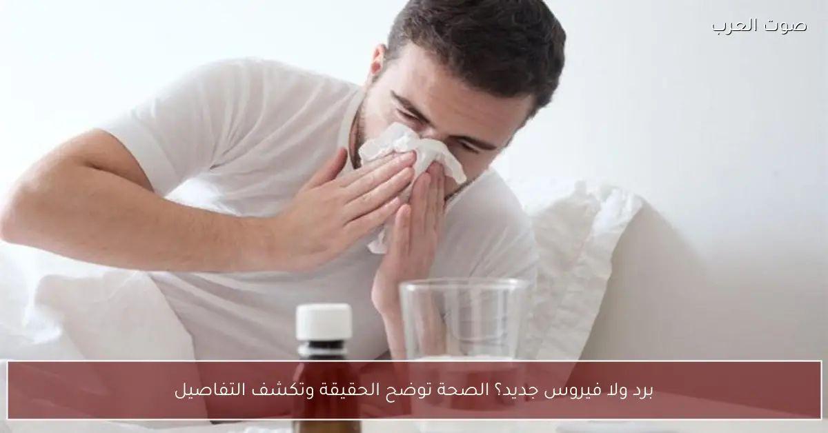 برد ولا فيروس جديد؟ الصحة توضح الحقيقة وتكشف التفاصيل