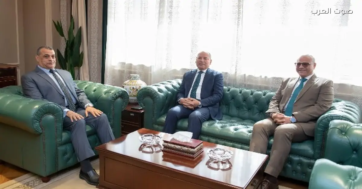 بعد الجيزة | الكيوت بقت بديل التوك توك في شوارع القاهرة والقليوبية .. التفاصيل