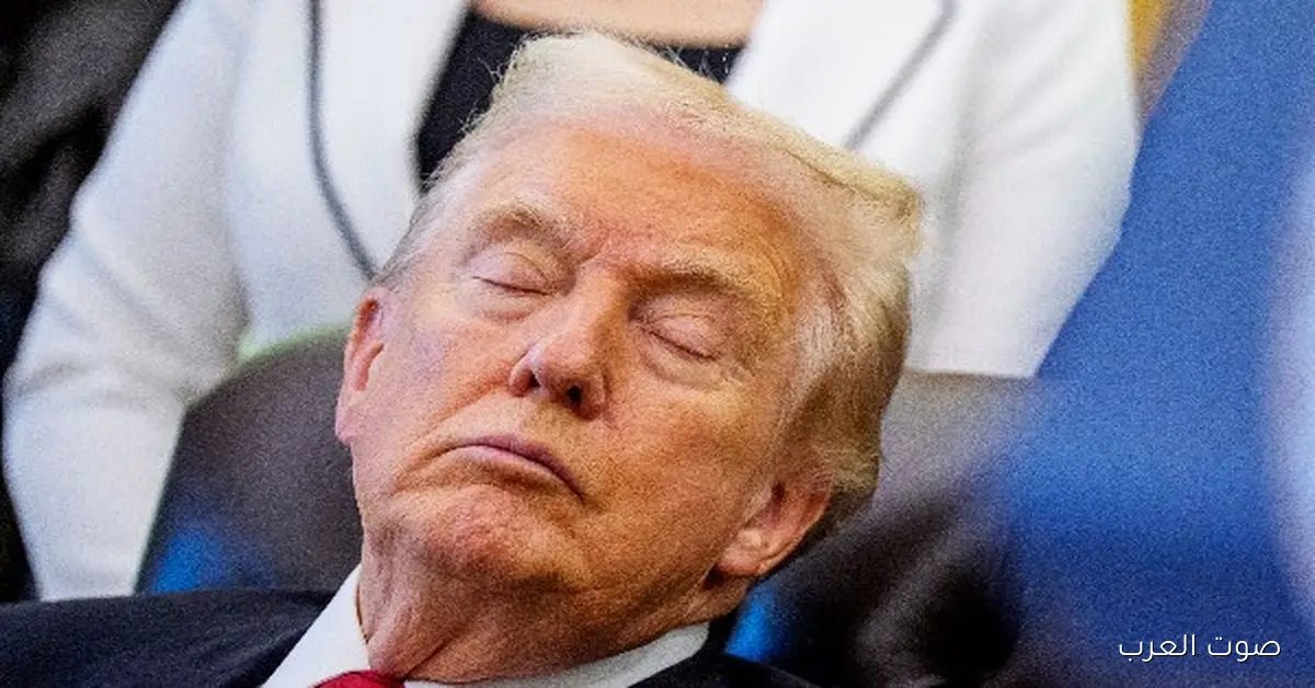 ترامب بيشتغل 12 ساعة في اليوم أكتر من أي مواطن أمريكي.. البيت الأبيض يكشف الأسرار أثناء المؤتمر الصحفي