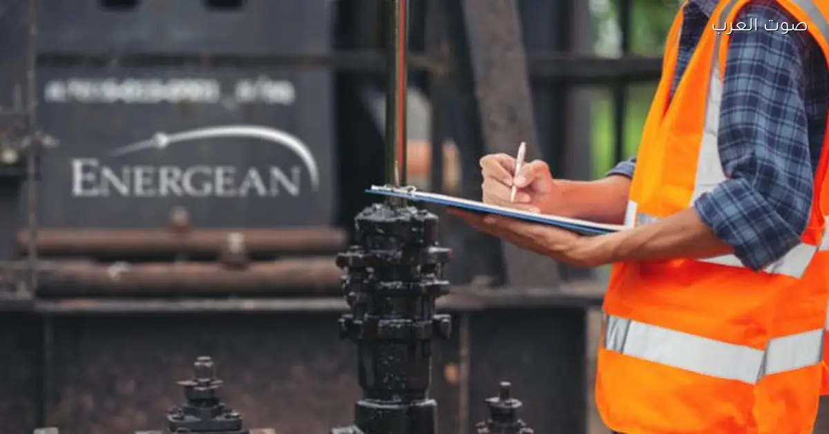 تصدير شحنة جديدة من الغاز المسال من مجمع إدكو إلى تركيا