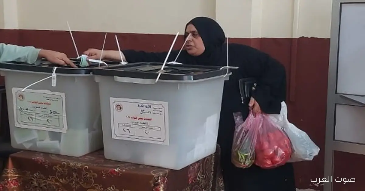 جولة الإعادة في انتخابات النواب.. 5 لحظات بتوضح عملية التصويت