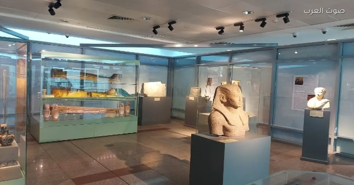 حكاية طيارة في ورشة تعليمية بمتحف مطار القاهرة صالة 2