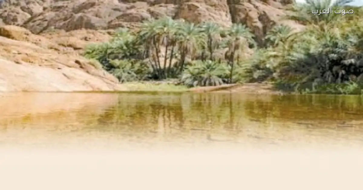 رئيس شؤون البيئة: المحميات الطبيعية في مصر كنز وموارد بيئية مهمة للعالم