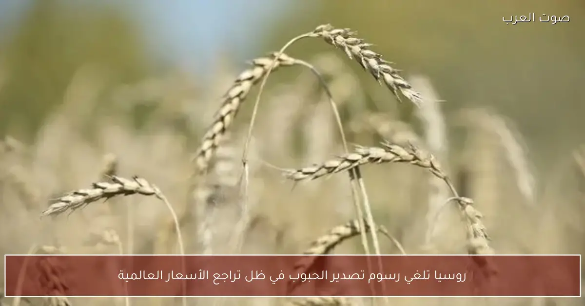 روسيا تلغي رسوم تصدير الحبوب في ظل تراجع الأسعار العالمية