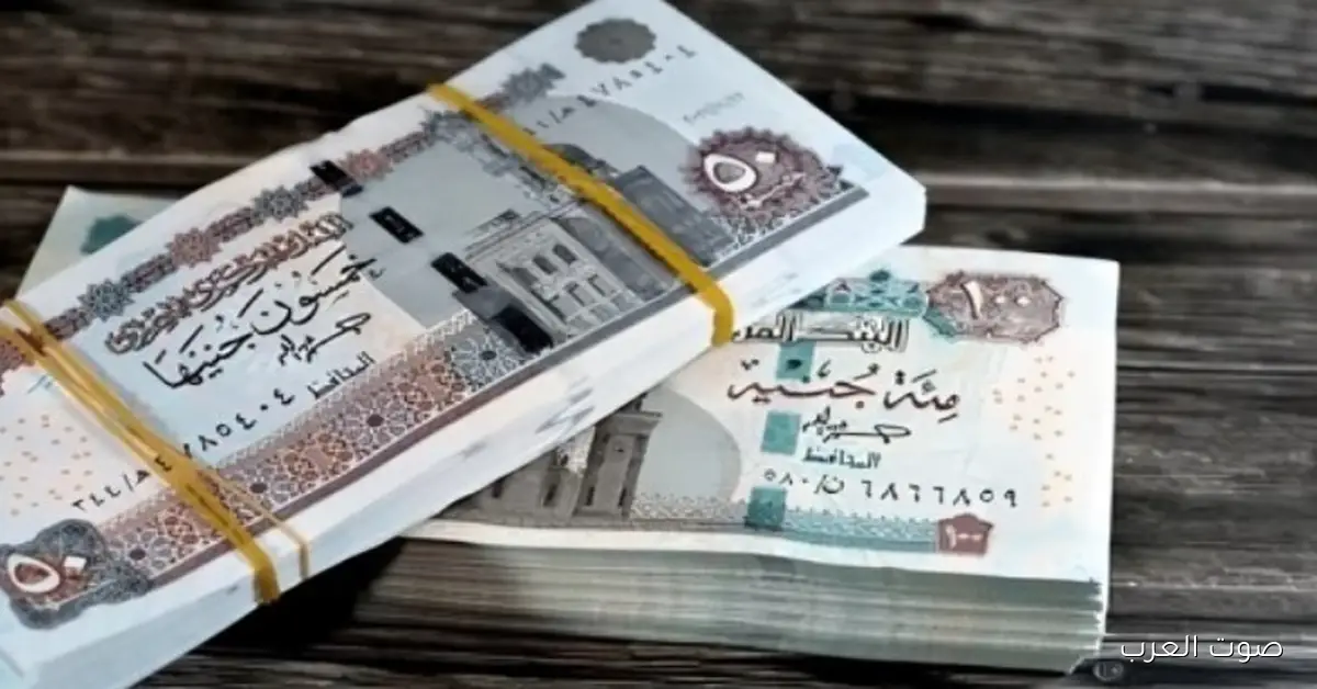 حقيقة زيادة معاشات يناير 2026 وفقا لقرار التأمينات الاجتماعية والفئات المستفيدة