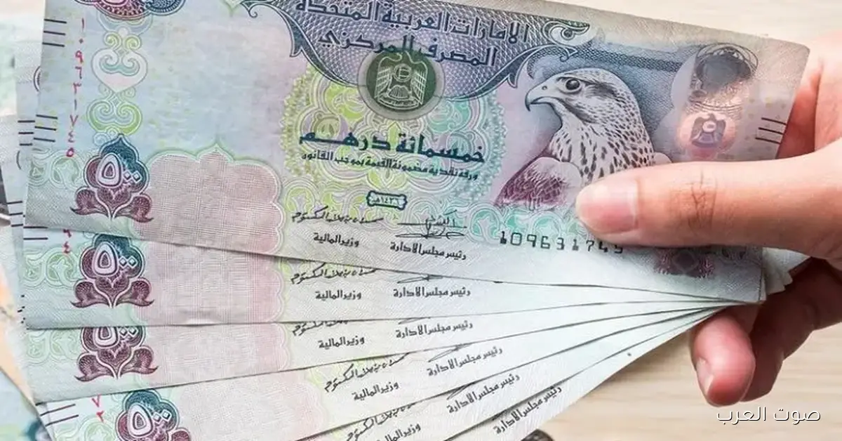 سعر الدرهم الإماراتي مقابل الجنيه المصري اليوم الثلاثاء 2 ديسمبر 2025