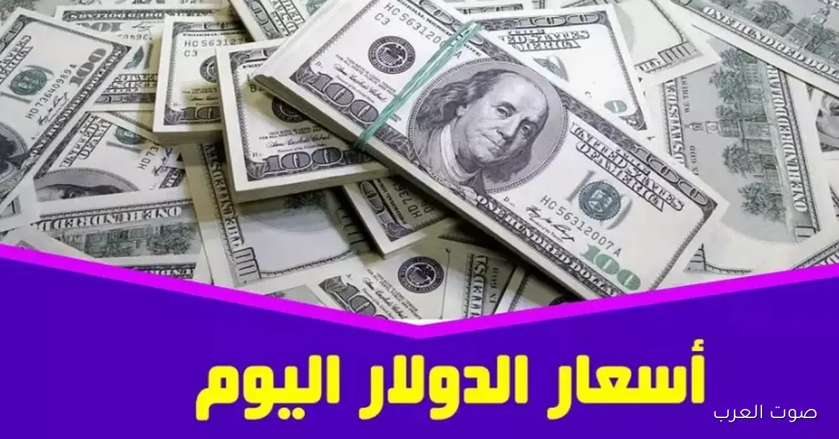 سعر الدولار في السوق السوداء اليوم الثلاثاء 2 ديسمبر 2025 امام الجنية المصري يستقر بشكل ملحوظ