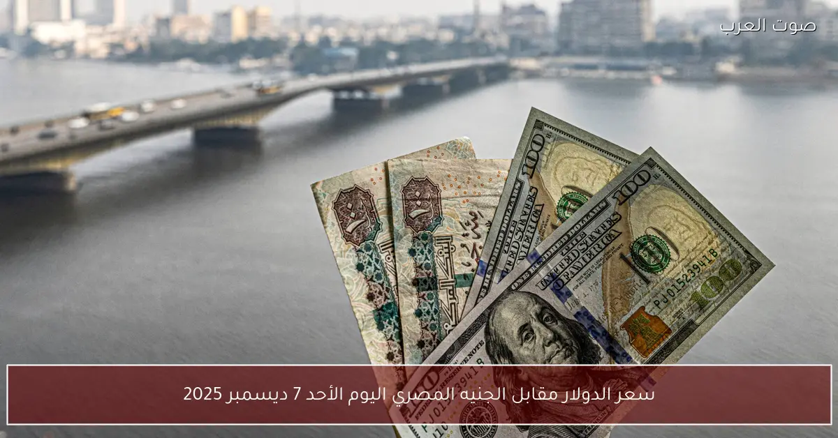 سعر الدولار مقابل الجنيه المصري اليوم الأحد 7 ديسمبر 2025