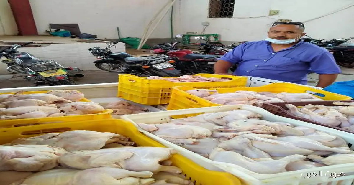 ضبط 84 طنًا من الدواجن المجمدة دون فواتير في ثلاجة مواد غذائية بالعاشر