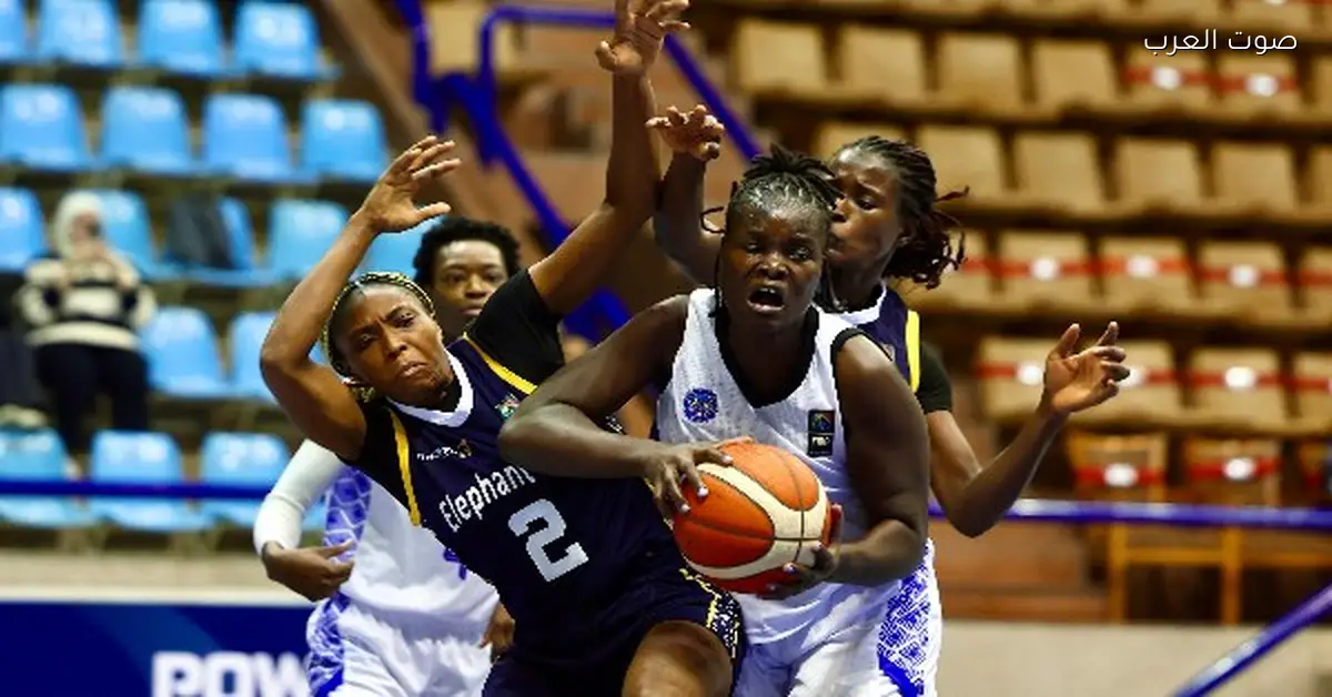 فيرست بنك النيجيري يتخطى فاب الكاميروني في بطولة أفريقيا لكرة السلة