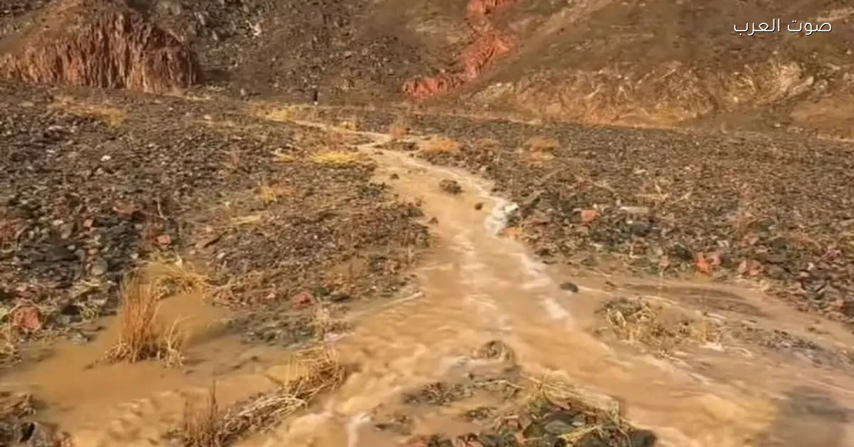 فيضانات تضرب كردستان العراق بعد مطر شديد… أضرار كبيرة