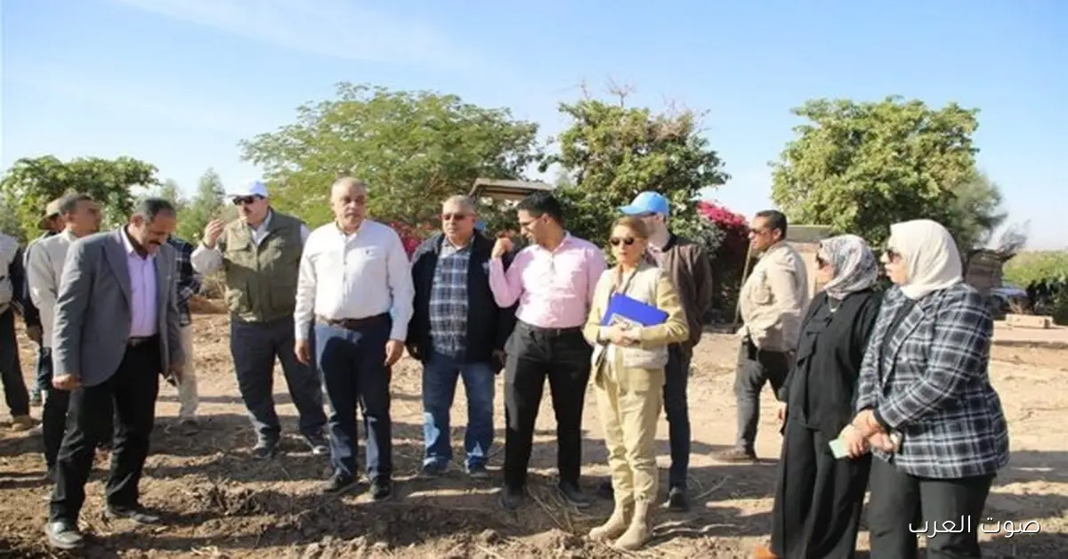 متحف جديد للطبيعة والتراث في الخارجة بالوادي الجديد