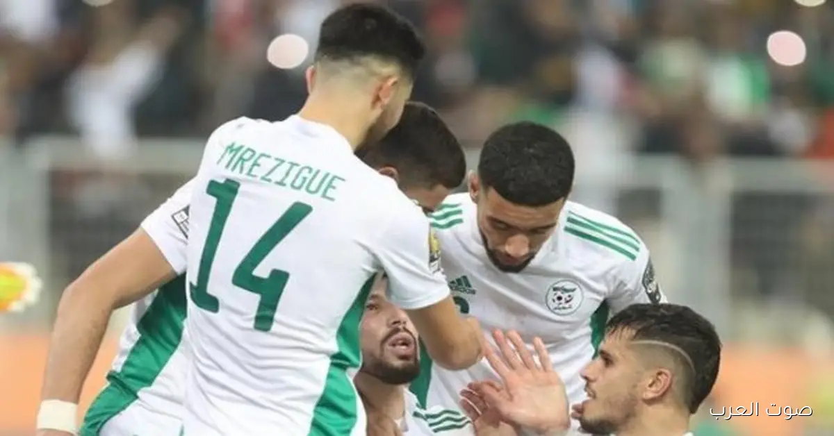 محمد العدل: التعادل بين السودان والجزائر مشكلة لكل وادي النيل