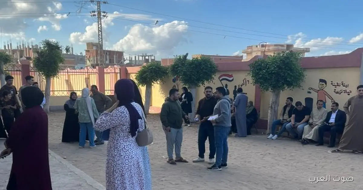 مخالفات كبيرة تكشف سبب إلغاء انتخابات مجلس النواب في الدائرة الثانية بالمنيا