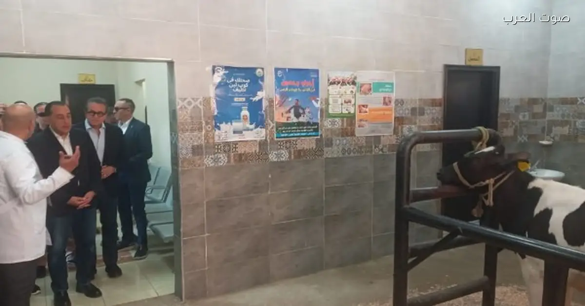 مدبولي يوصل القليوبية عشان يتفقد شوية مشروعات “حياة كريمة”