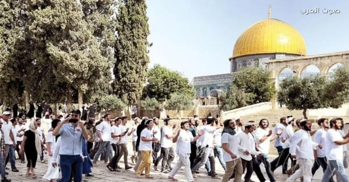 مستوطنين يقتحموا ساحات المسجد الأقصى والاحتلال الإسرائيلي يعتقل 5 فلسطينيين