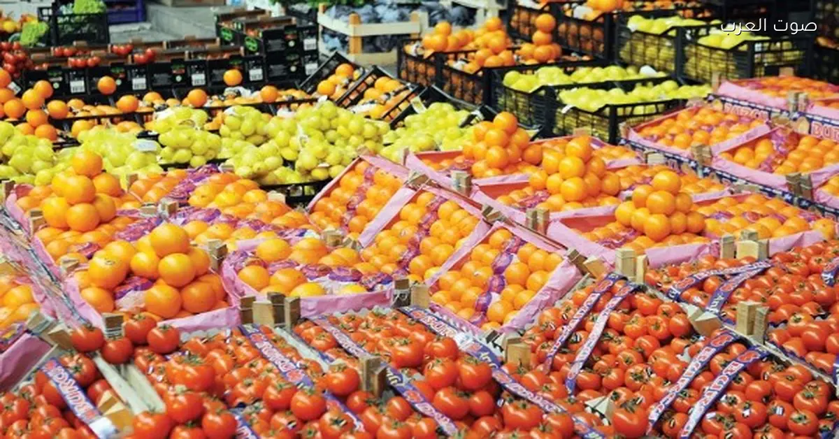 مصر تحقق صادرات غذائية وزراعية بقيمة 67 مليار دولار على مدار 10 سنوات