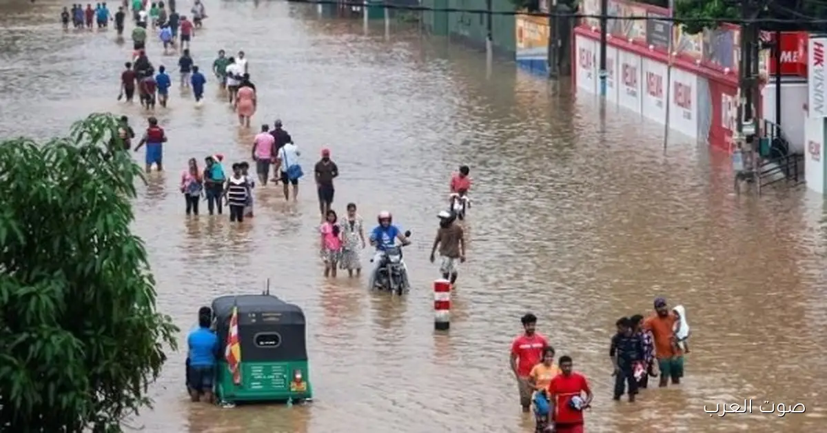 مصر تقدم تعازيها الحارة لسريلانكا في ضحايا السيول والفيضانات