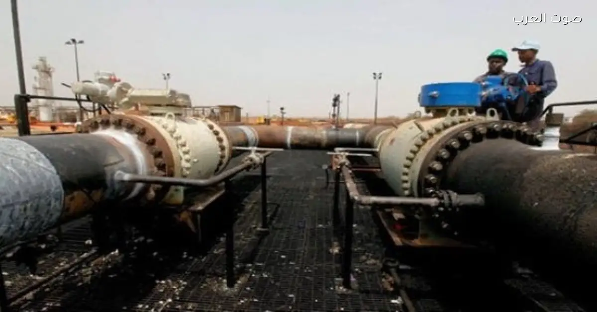 مقتل عدد كبير من المتمردين وأنصارهم في حقل نفط بالسودان