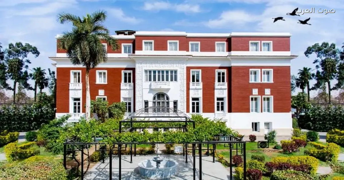 مكتبات مصر العامة في القاهرة والجيزة بتستمر في تقديم خدماتها المميزة للناس وتوعية المجتمع