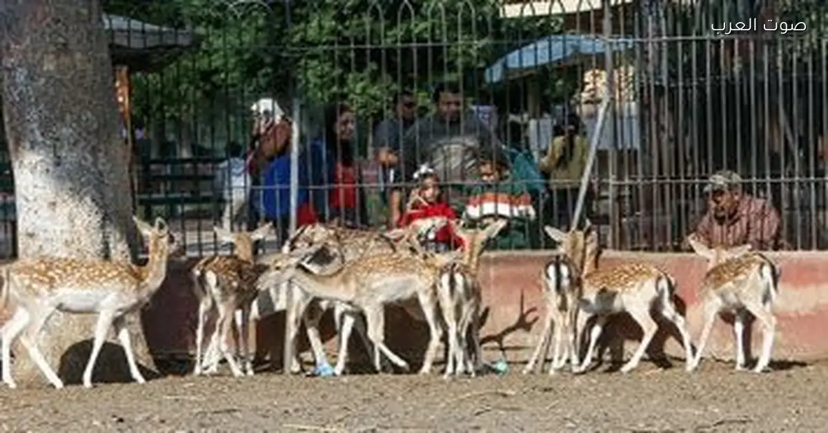 موعد فتح حديقة حيوان الجيزة بعد التطوير وتحويلها لمكان عالمي