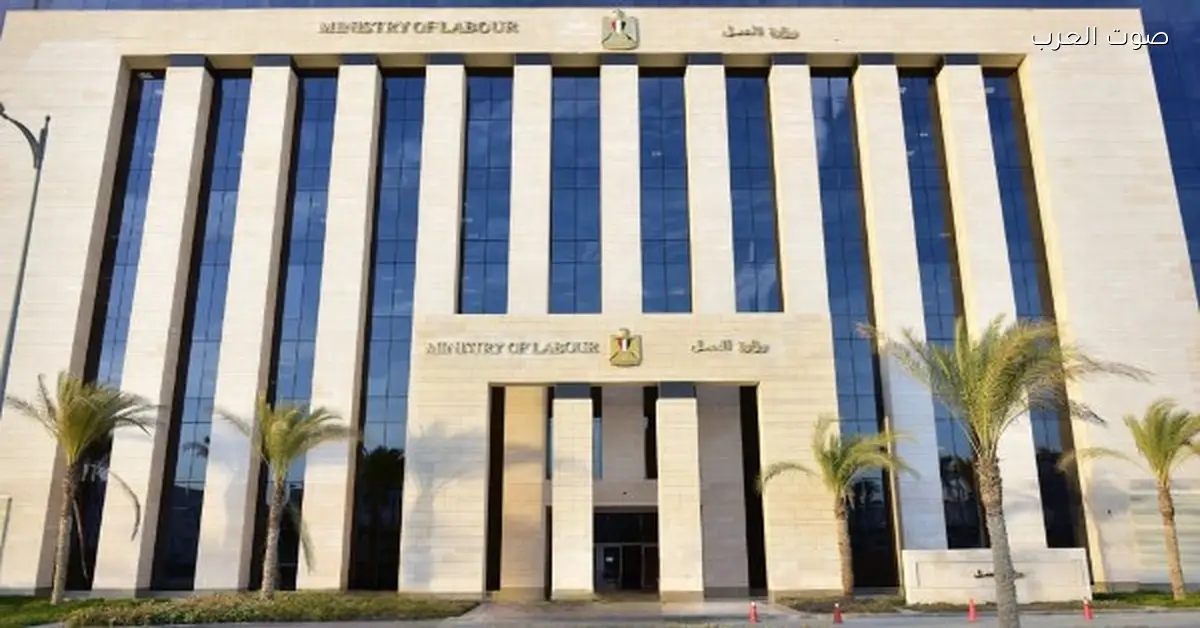 وزارة العمل بتعمل ورشة علشان تقوي الاستراتيجية الوطنية للسلامة والصحة المهنية