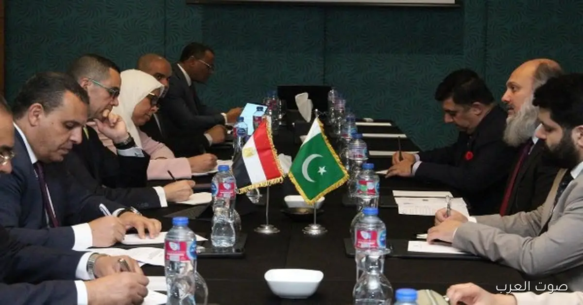 وزير الاستثمار يبحث مع نظيره الباكستاني سبل تعزيز العلاقات الاقتصادية بين البلدين