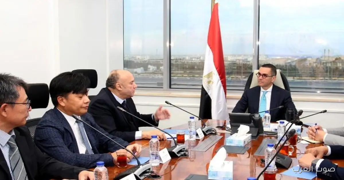 وزير الاستثمار يناقش المشروعات والخطط التوسعية مع مسئول «إل جي – مصر»
